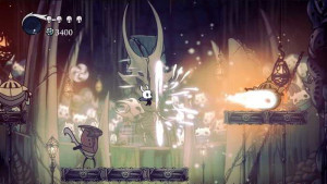 hollow knight nrs