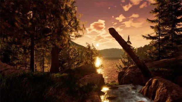 reaching for petals nrs