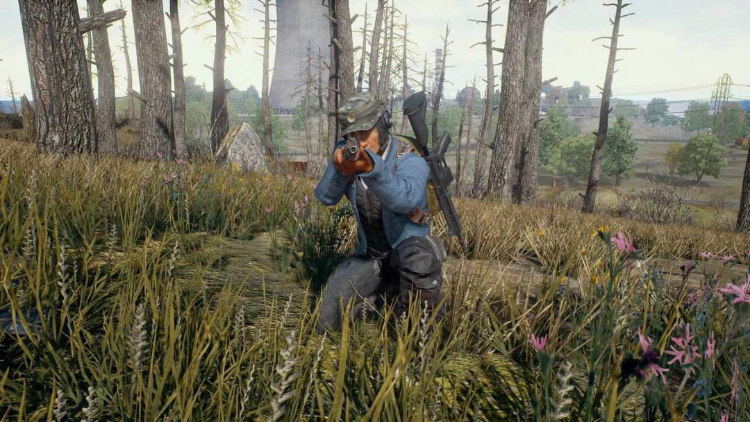 battlegrounds pubg