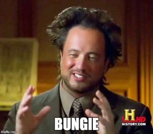bungie